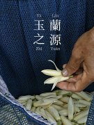 宝兰汀重塑美妆品牌新范式：中式美学与科技美妆的兼顾与平衡